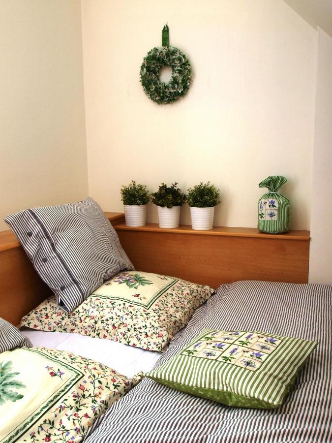 Apartman 6 U Sjezdovek Rokytnice nad Jizerou Zewnętrze zdjęcie